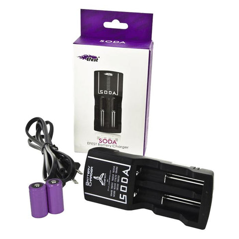 Sidekick Battery Charger